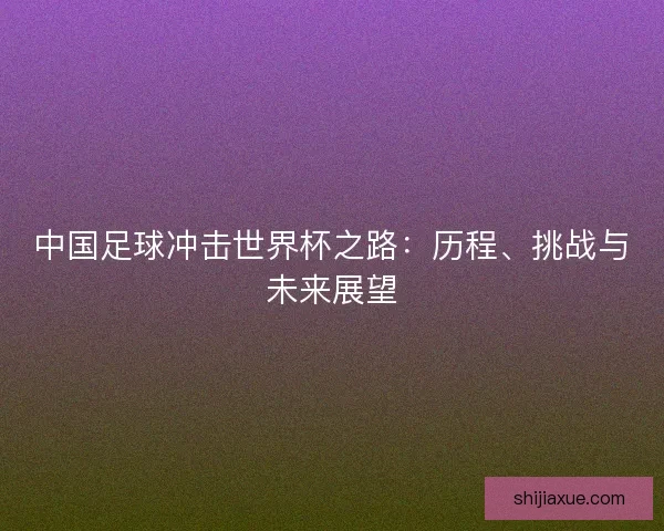 中国足球冲击世界杯之路：历程、挑战与未来展望